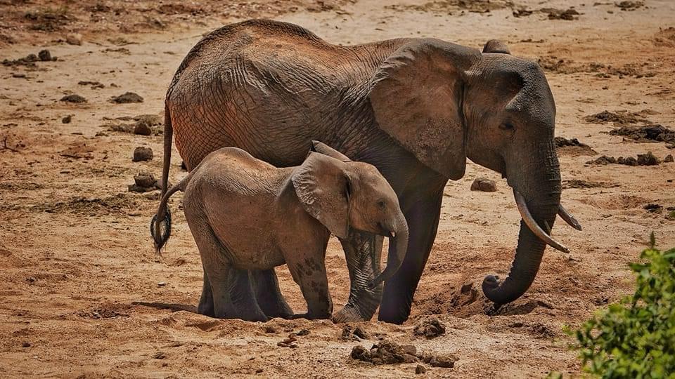 Tsavo West